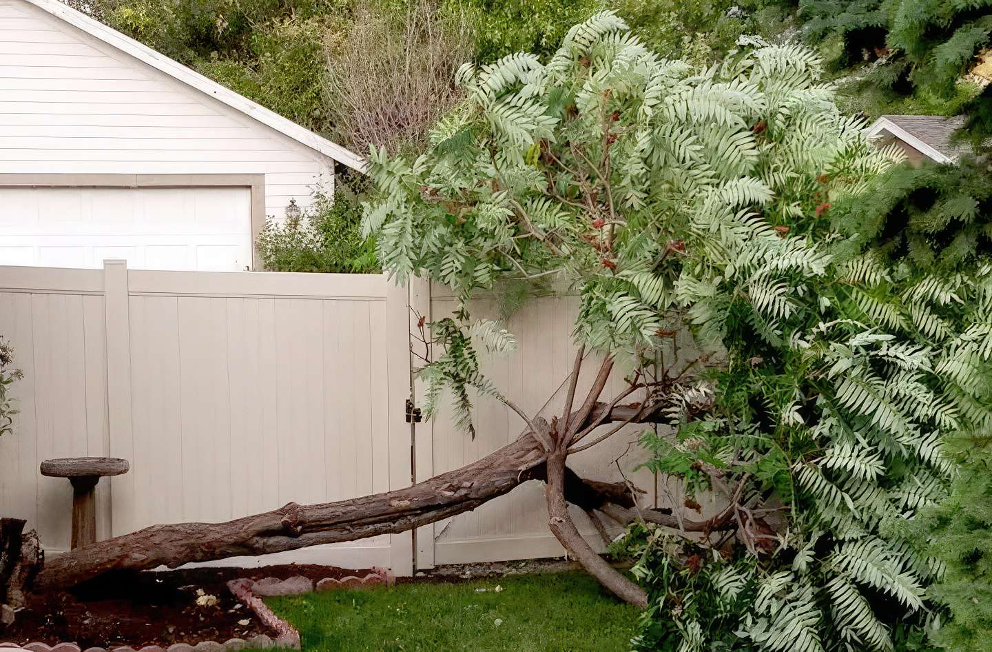 Fence repair Contractor in Montana