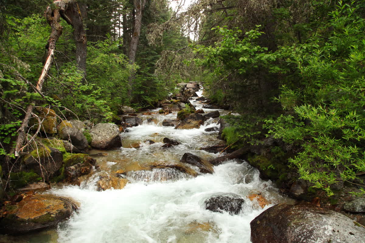 Beautiful landscape view in Red Lodge Montana